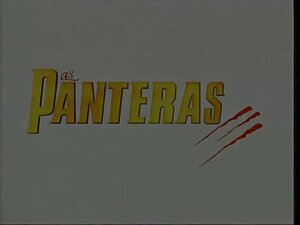 Festa do Bundalelecirc